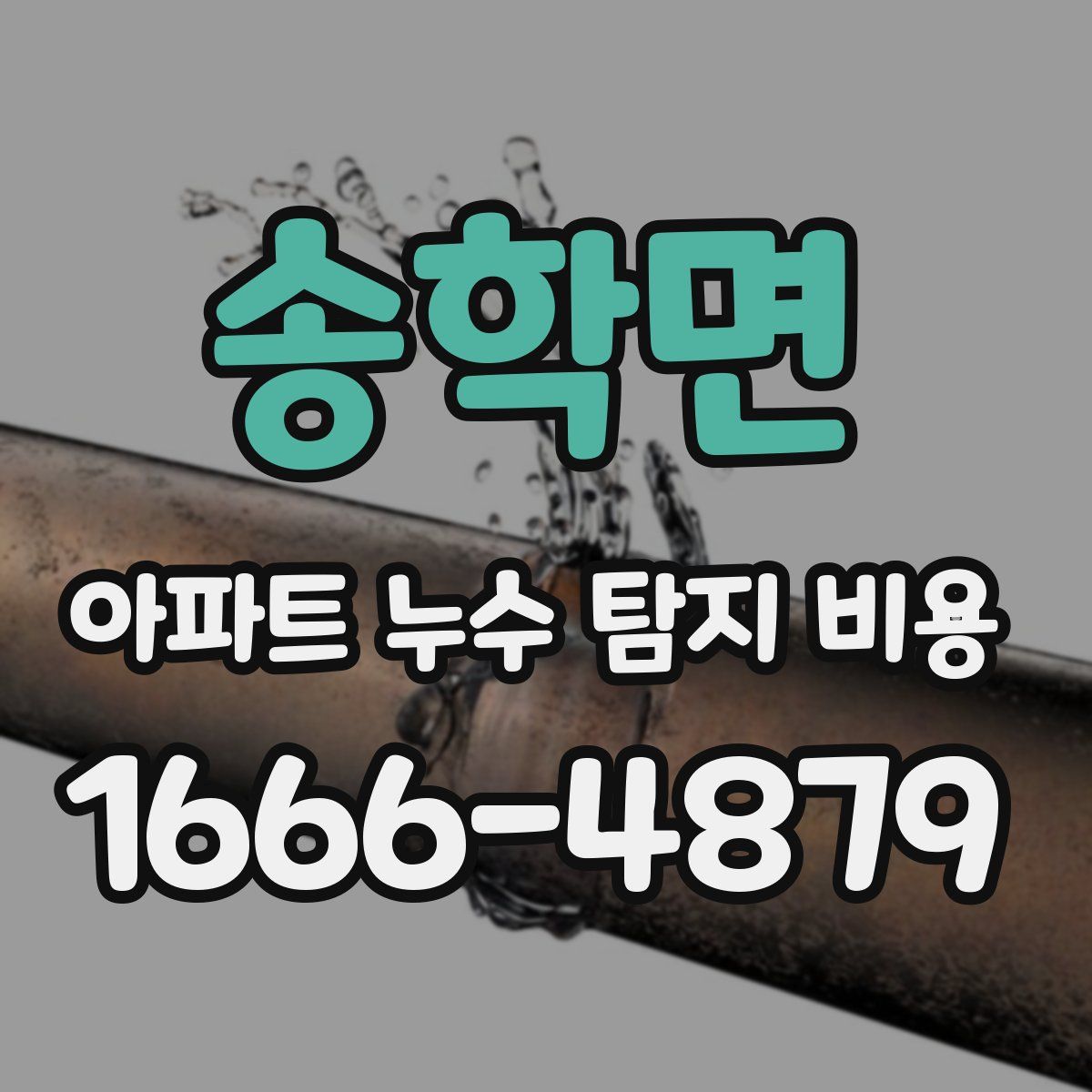 송학면 아파트 누수 탐지 비용
