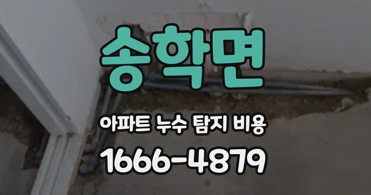 송학면 아파트 누수 탐지 비용