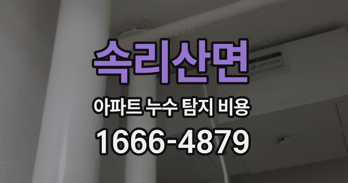 속리산면 아파트 누수 탐지 비용