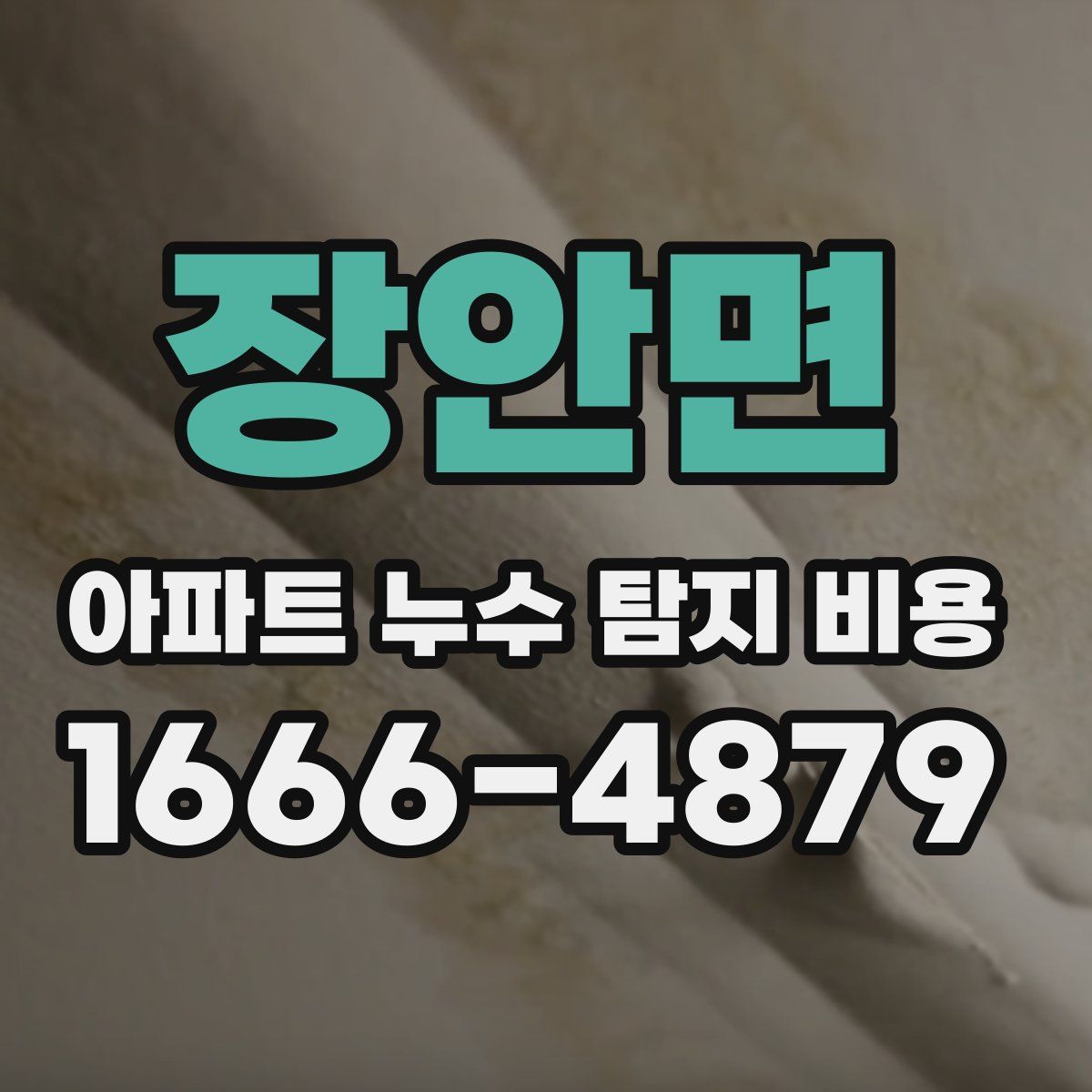 장안면 아파트 누수 탐지 비용