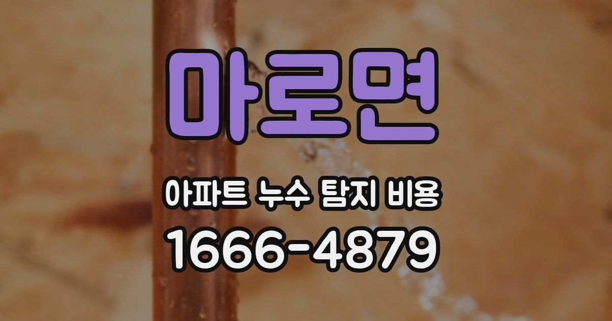 마로면 아파트 누수 탐지 비용