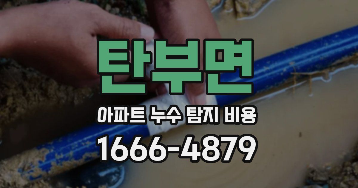 탄부면 아파트 누수 탐지 비용