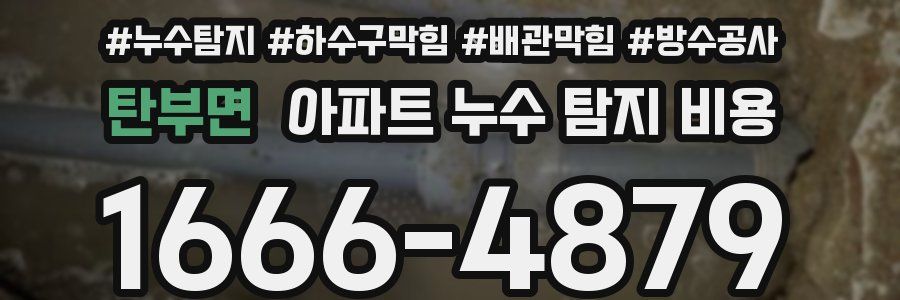 탄부면 아파트 누수 탐지 비용