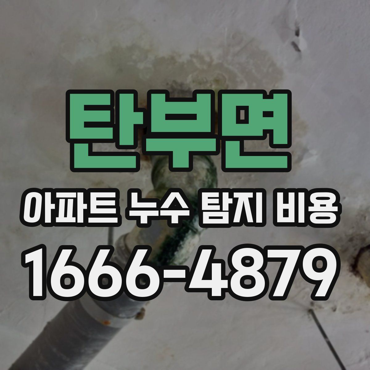 탄부면 아파트 누수 탐지 비용