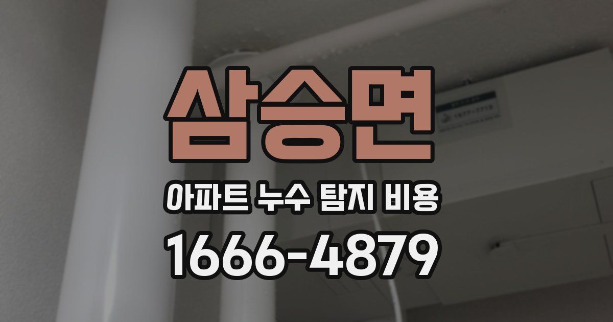삼승면 아파트 누수 탐지 비용