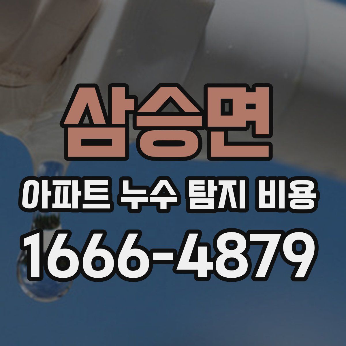 삼승면 아파트 누수 탐지 비용