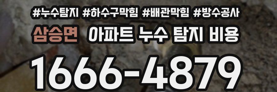 삼승면 아파트 누수 탐지 비용