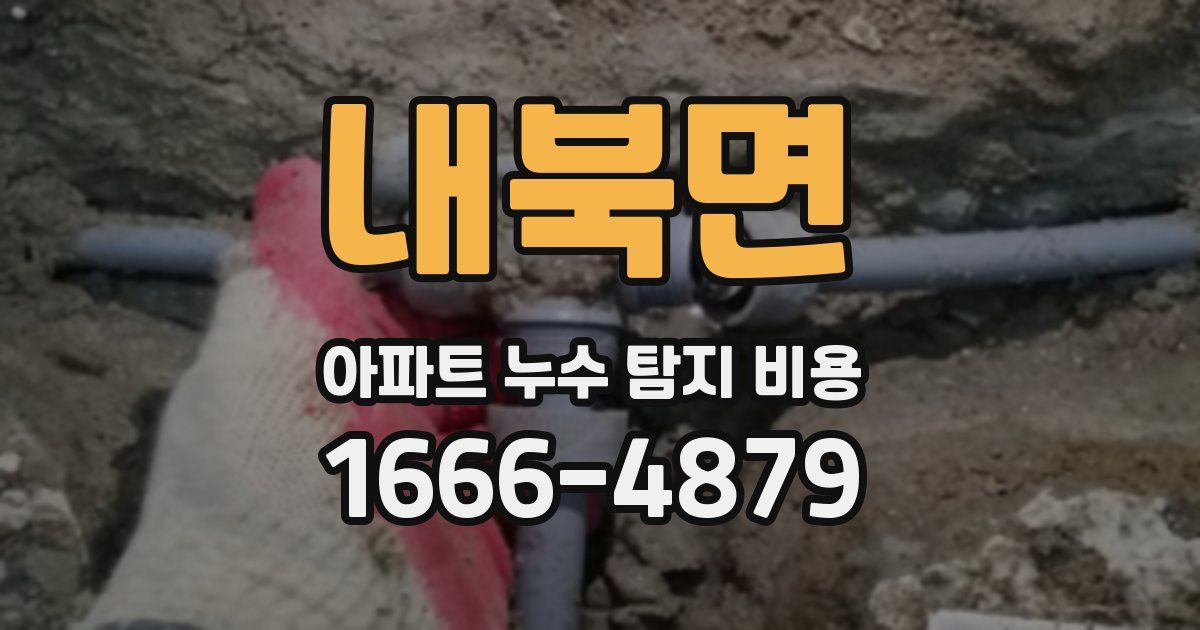 내북면 아파트 누수 탐지 비용