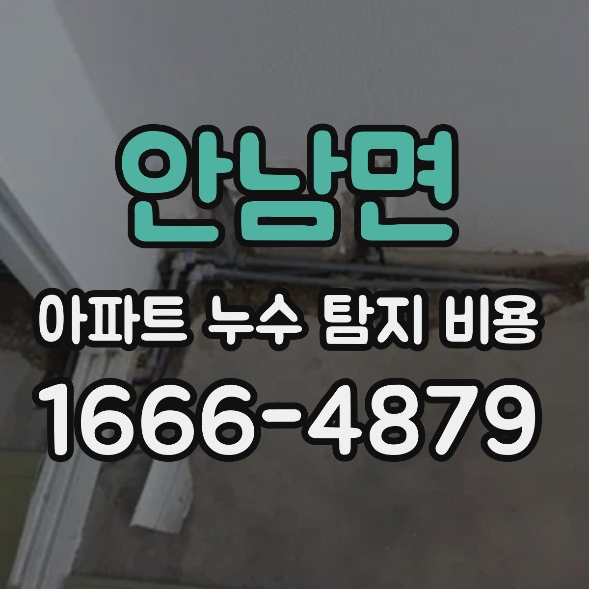 안남면 아파트 누수 탐지 비용