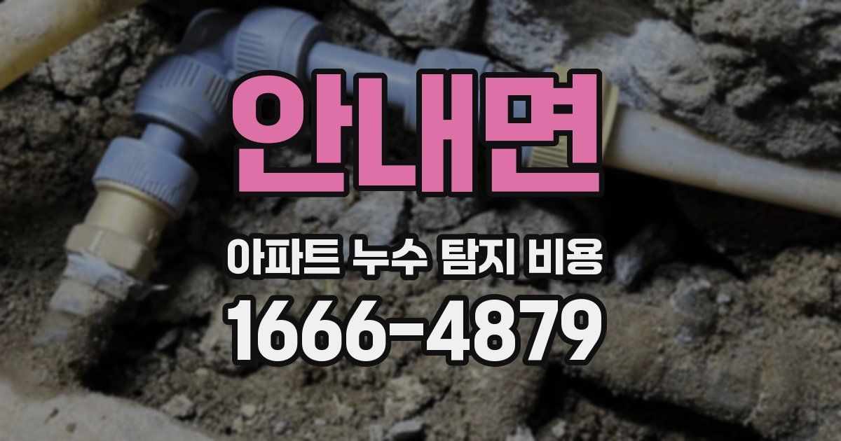 안내면 아파트 누수 탐지 비용