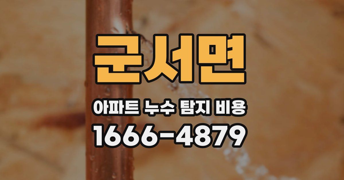 군서면 아파트 누수 탐지 비용