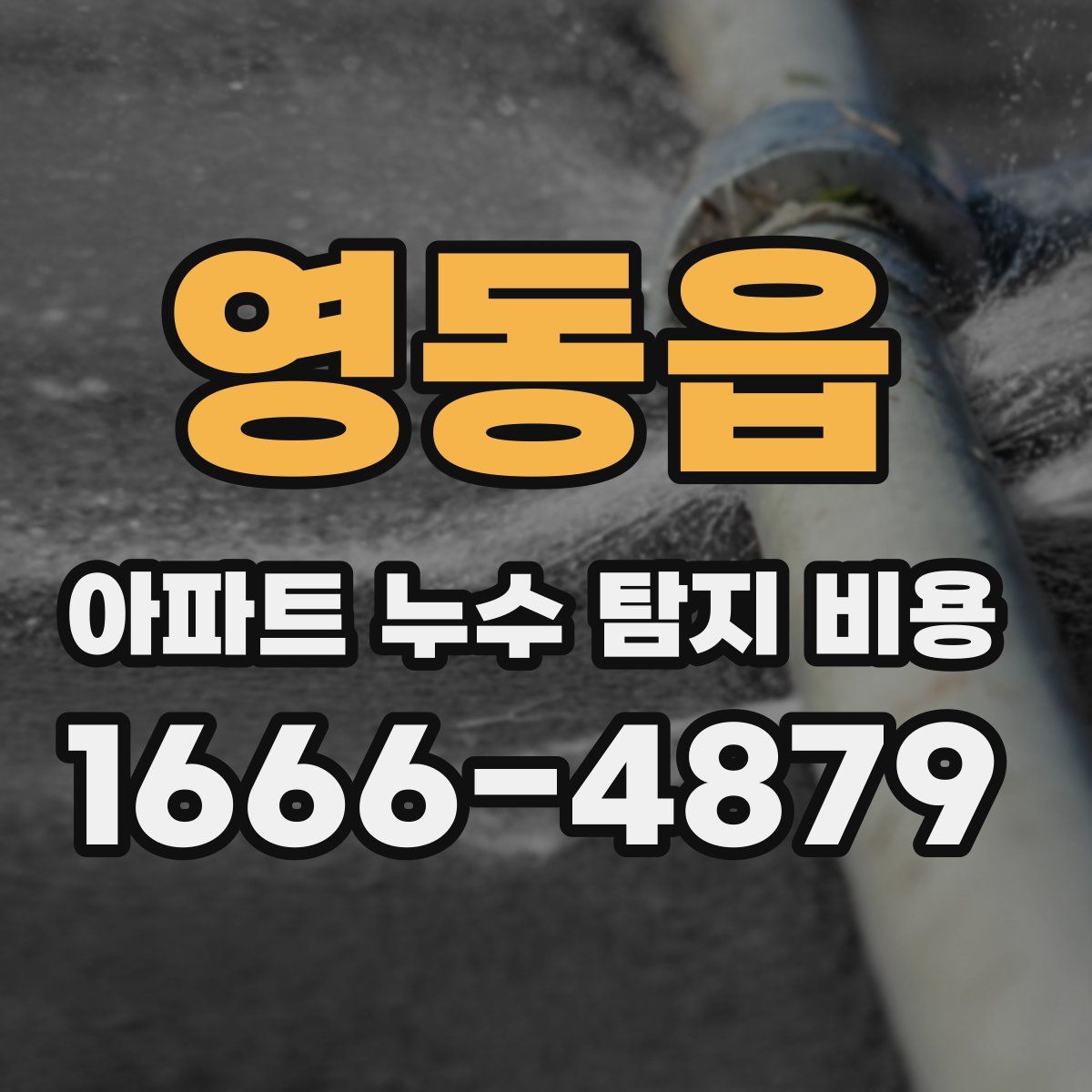 영동읍 아파트 누수 탐지 비용