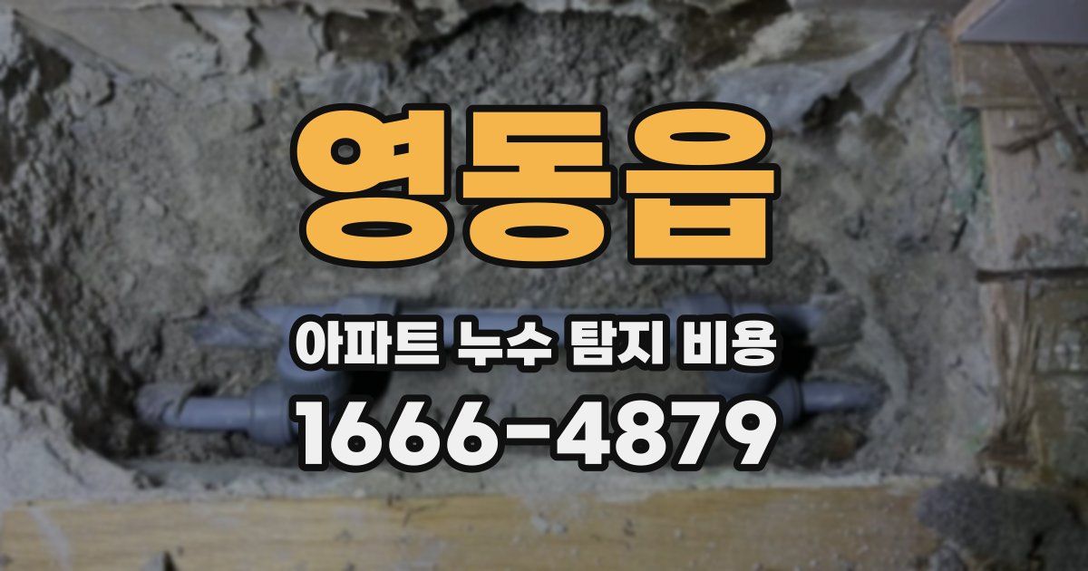 영동읍 아파트 누수 탐지 비용