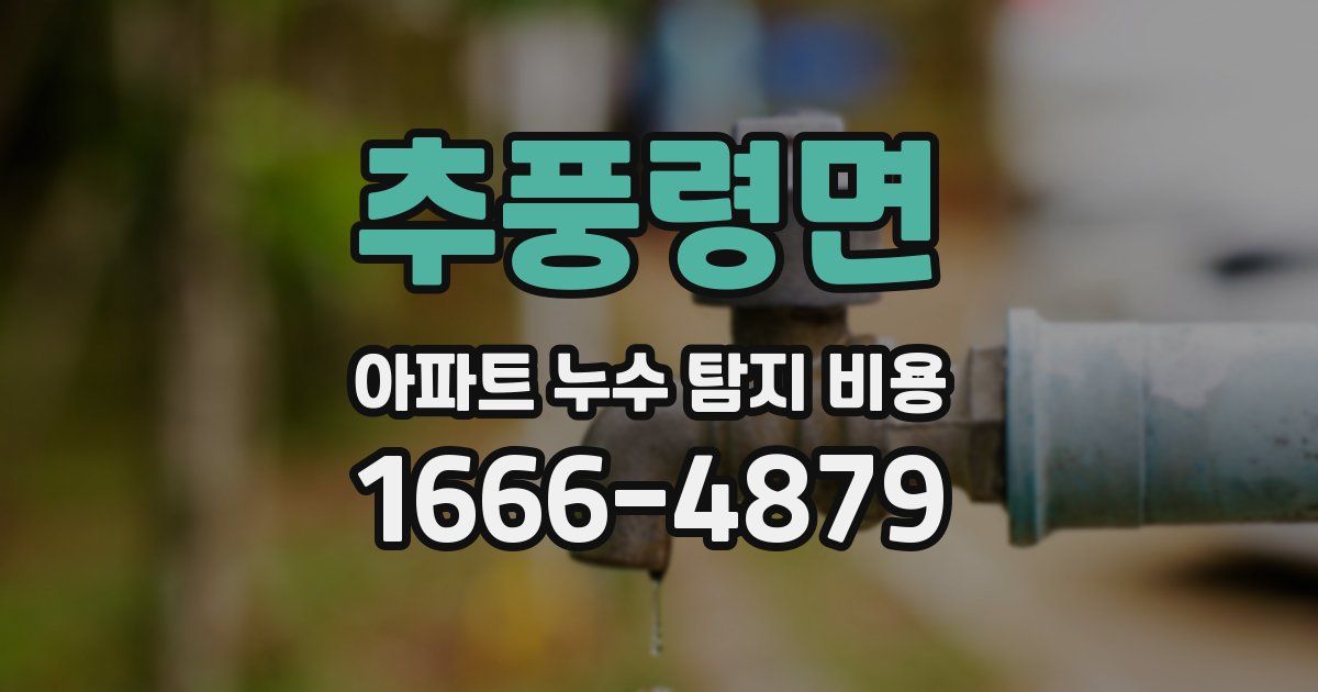추풍령면 아파트 누수 탐지 비용