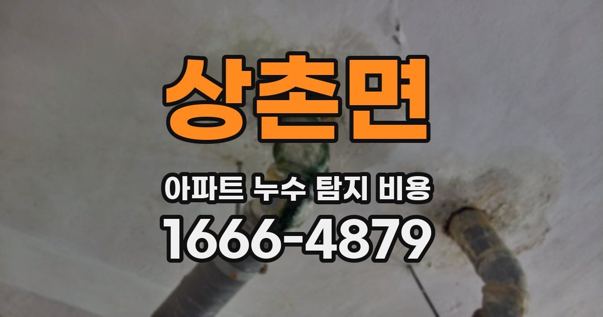상촌면 아파트 누수 탐지 비용