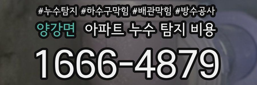 양강면 아파트 누수 탐지 비용