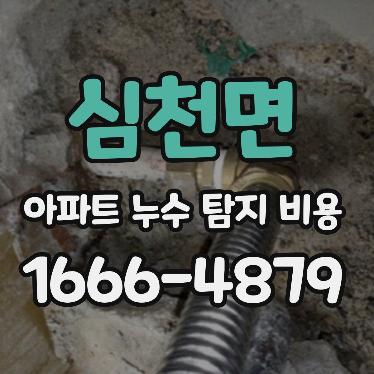 심천면 아파트 누수 탐지 비용