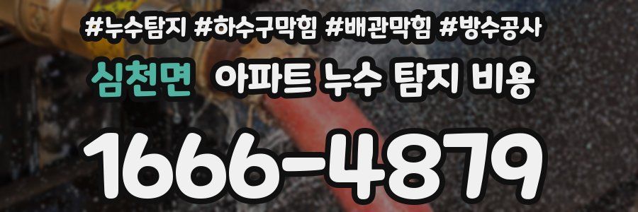 심천면 아파트 누수 탐지 비용
