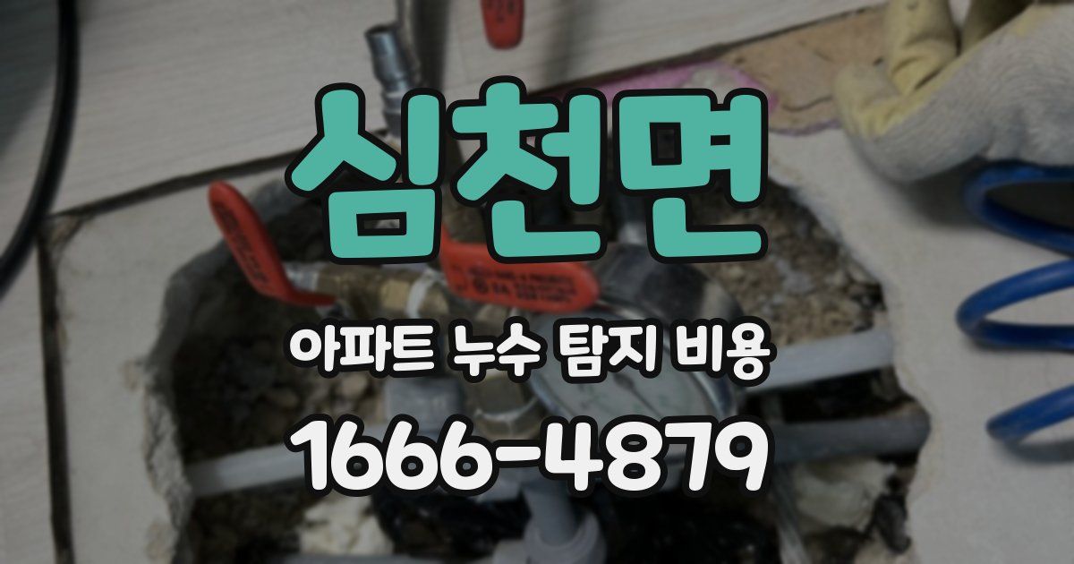 심천면 아파트 누수 탐지 비용