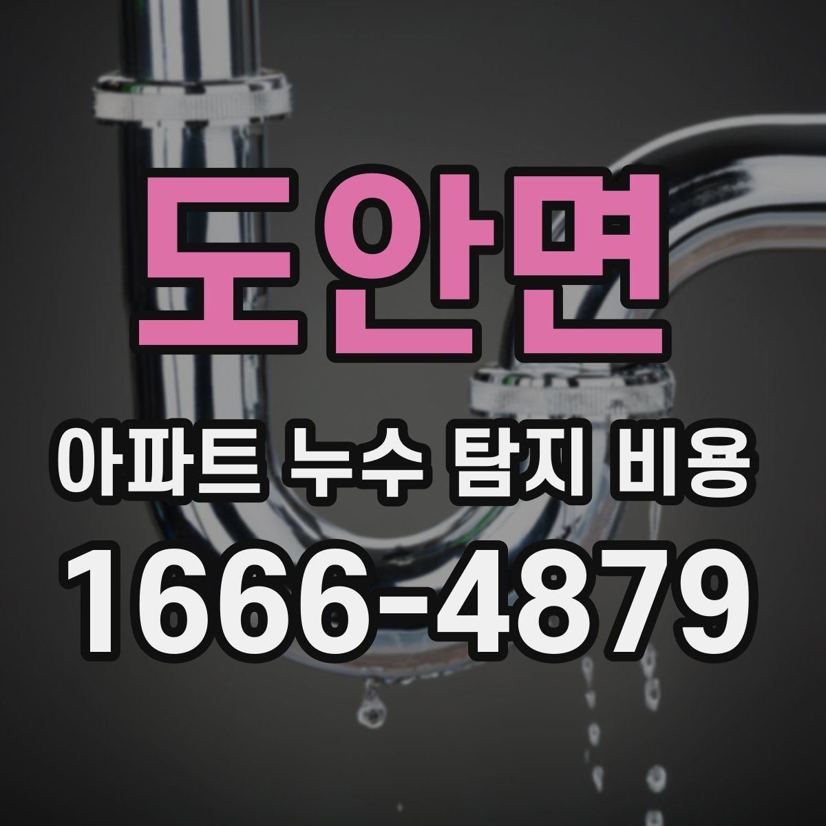 도안면 아파트 누수 탐지 비용