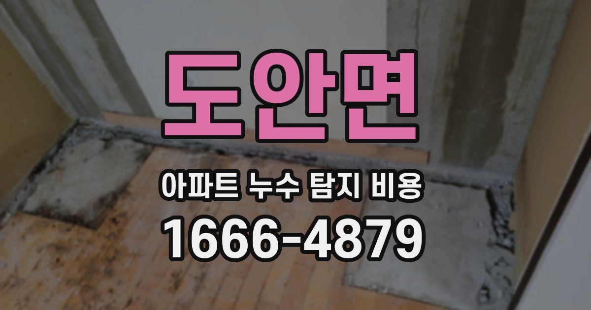 도안면 아파트 누수 탐지 비용