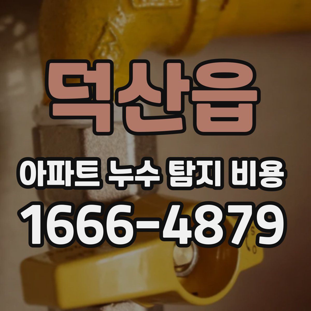 덕산읍 아파트 누수 탐지 비용