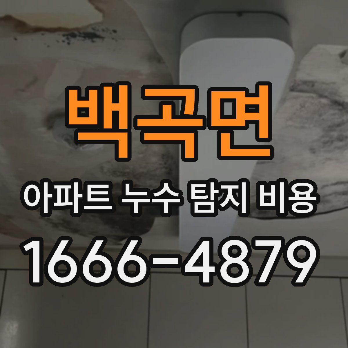 백곡면 아파트 누수 탐지 비용