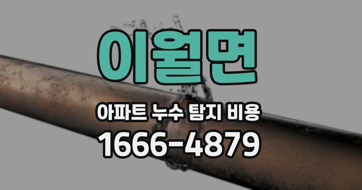 이월면 아파트 누수 탐지 비용