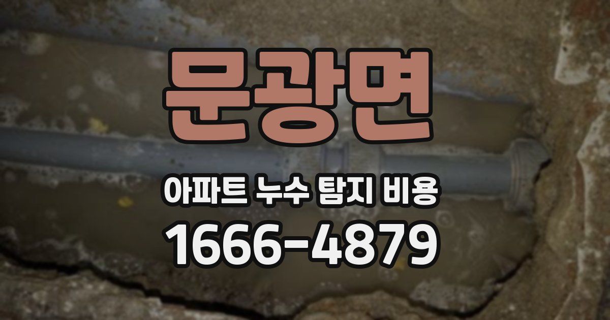 문광면 아파트 누수 탐지 비용