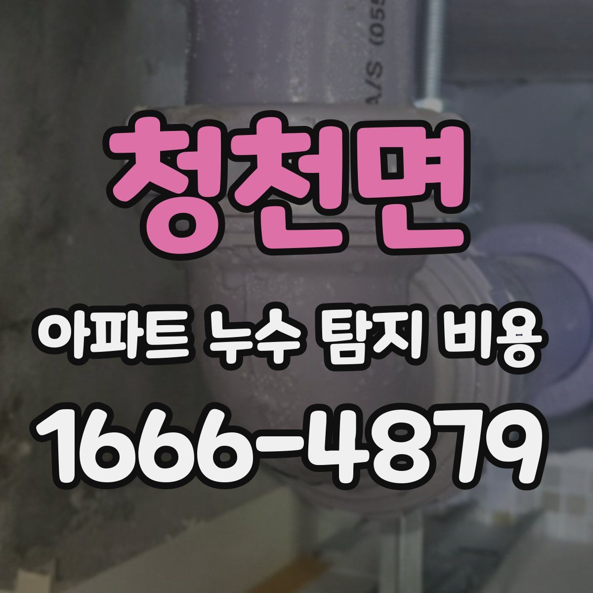청천면 아파트 누수 탐지 비용