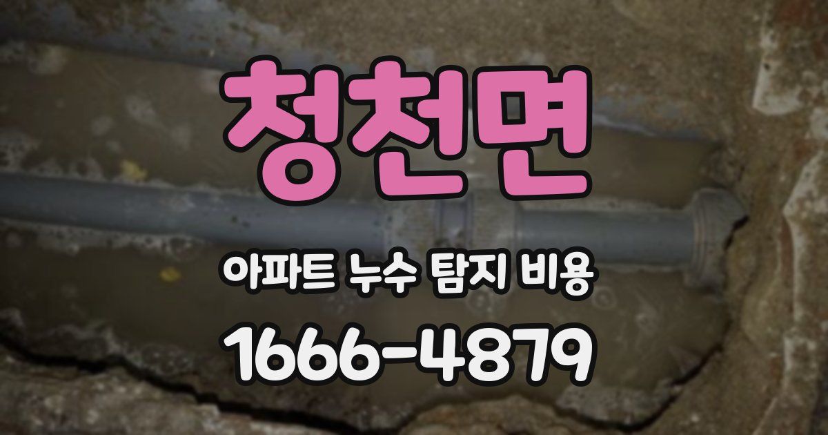 청천면 아파트 누수 탐지 비용