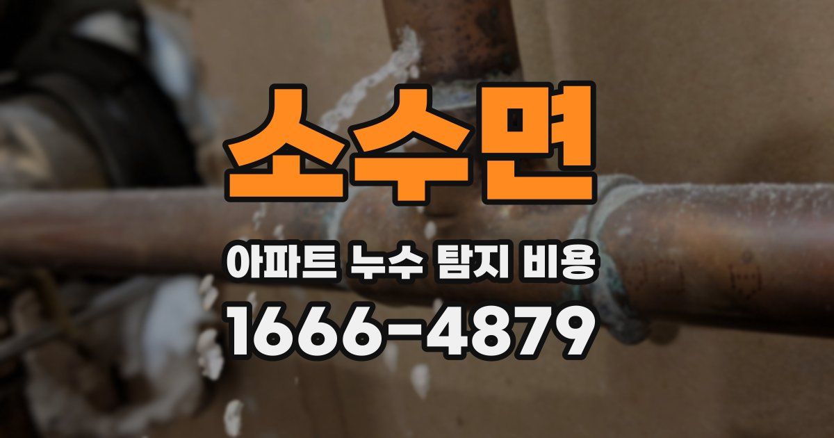 소수면 아파트 누수 탐지 비용