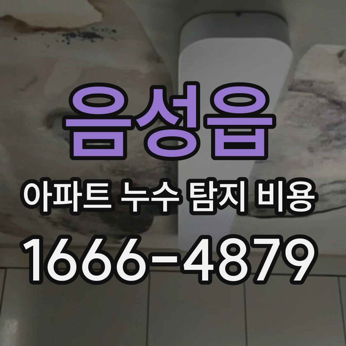 음성읍 아파트 누수 탐지 비용