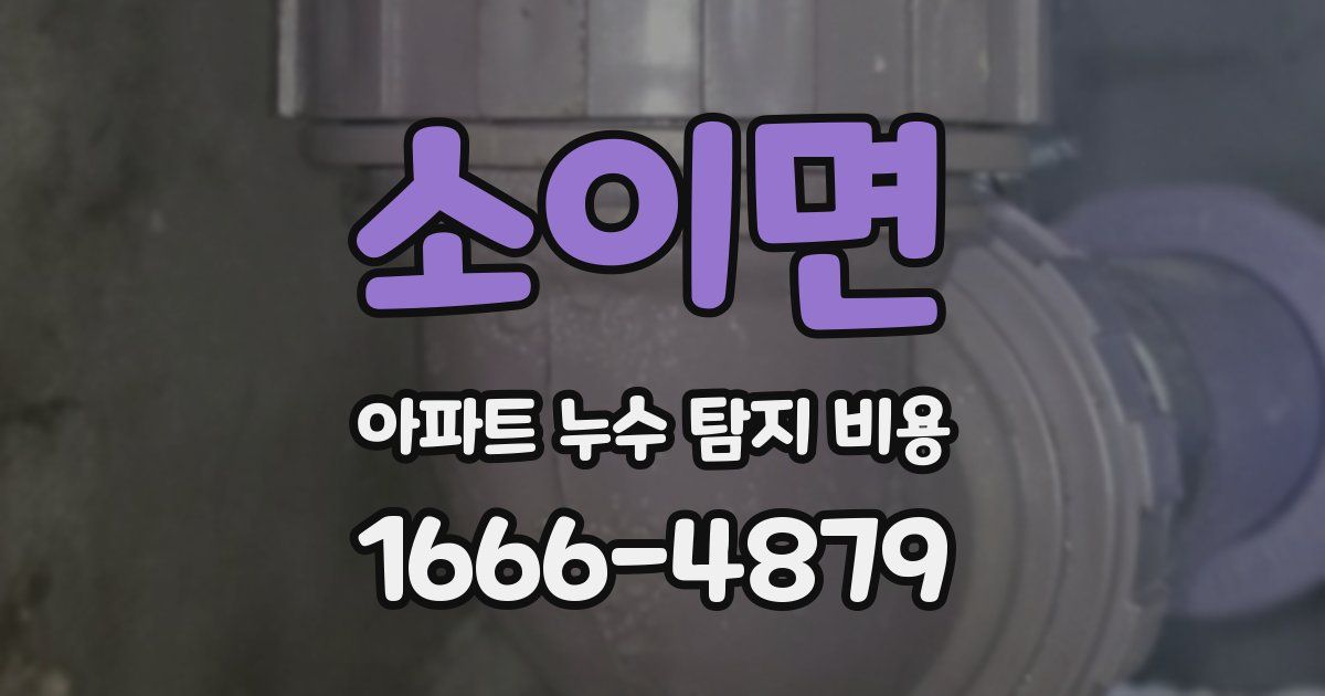 소이면 아파트 누수 탐지 비용