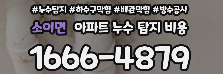 소이면 아파트 누수 탐지 비용