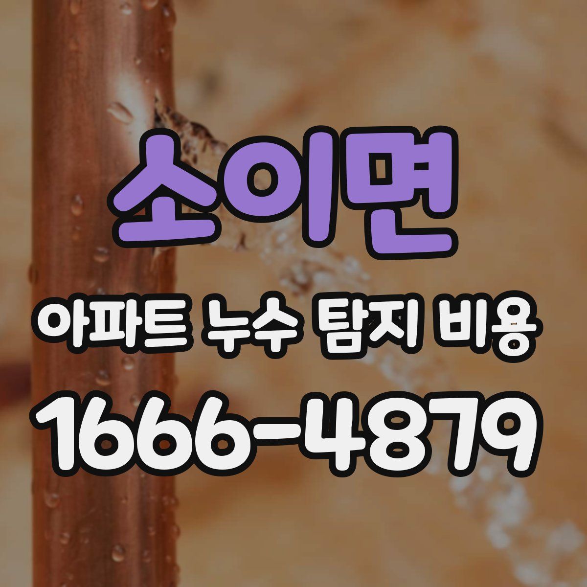 소이면 아파트 누수 탐지 비용