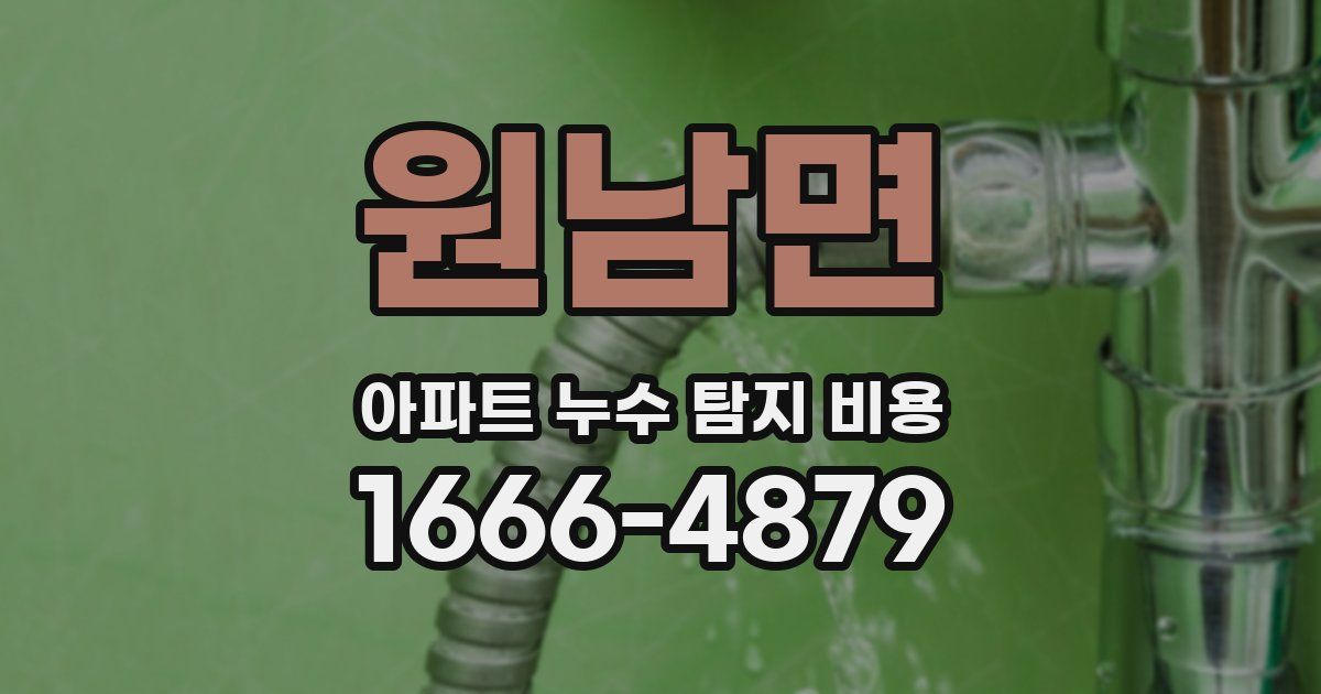 원남면 아파트 누수 탐지 비용