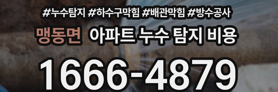 맹동면 아파트 누수 탐지 비용