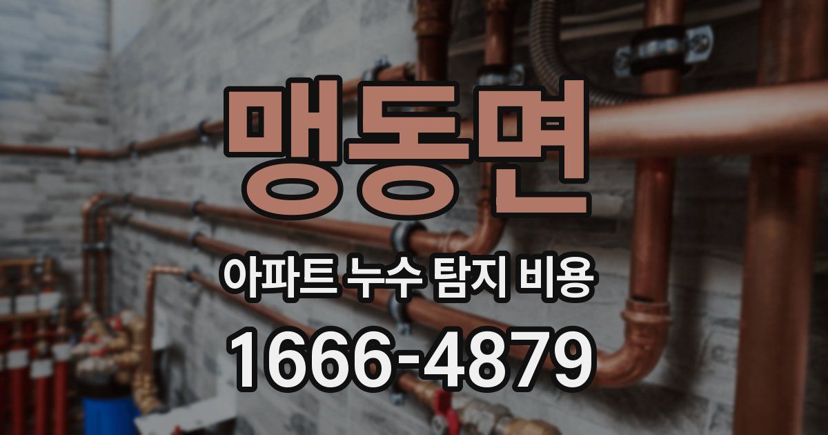 맹동면 아파트 누수 탐지 비용