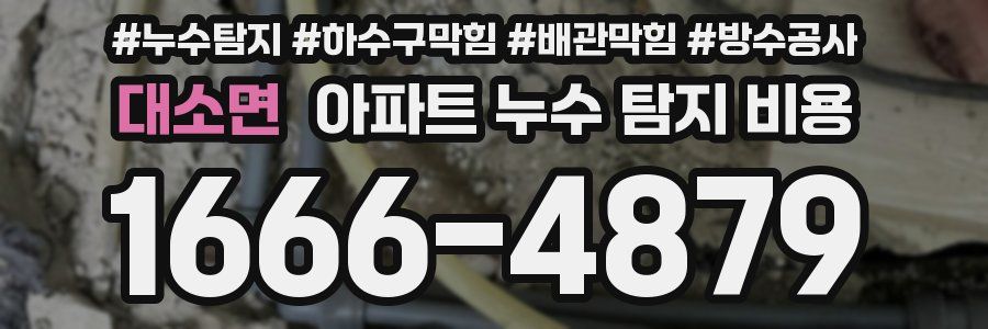 대소면 아파트 누수 탐지 비용