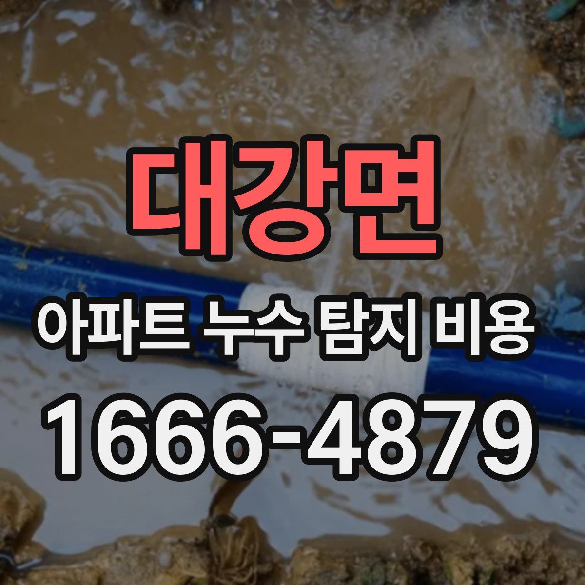대강면 아파트 누수 탐지 비용