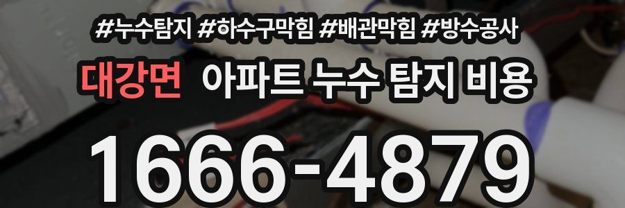 대강면 아파트 누수 탐지 비용