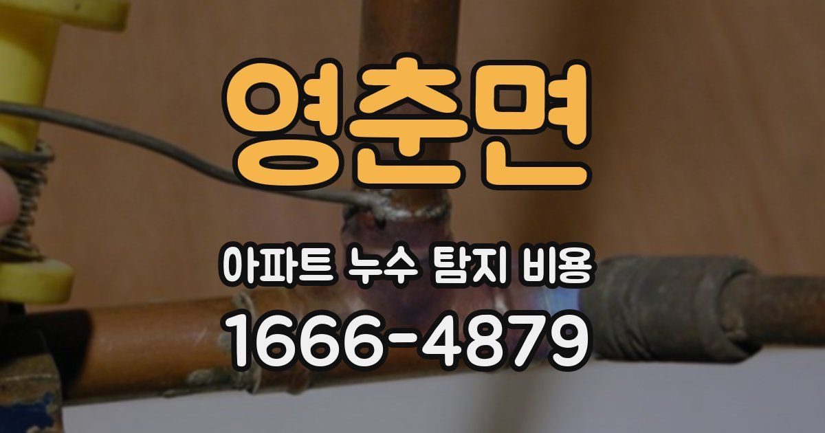 영춘면 아파트 누수 탐지 비용