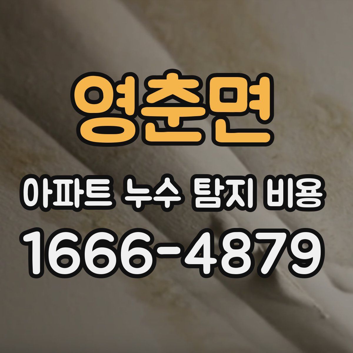 영춘면 아파트 누수 탐지 비용