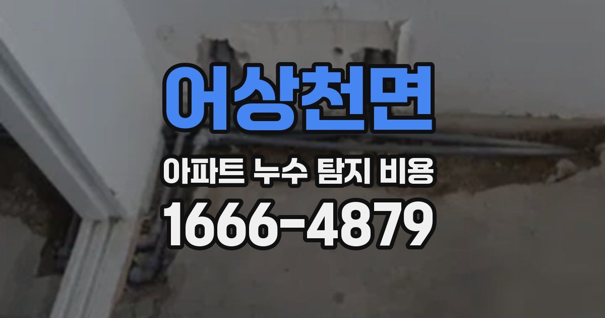 어상천면 아파트 누수 탐지 비용
