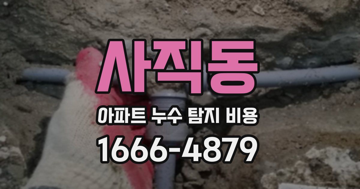 사직동 아파트 누수 탐지 비용