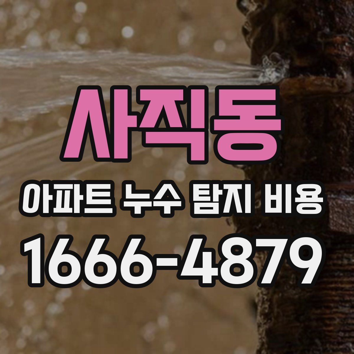 사직동 아파트 누수 탐지 비용
