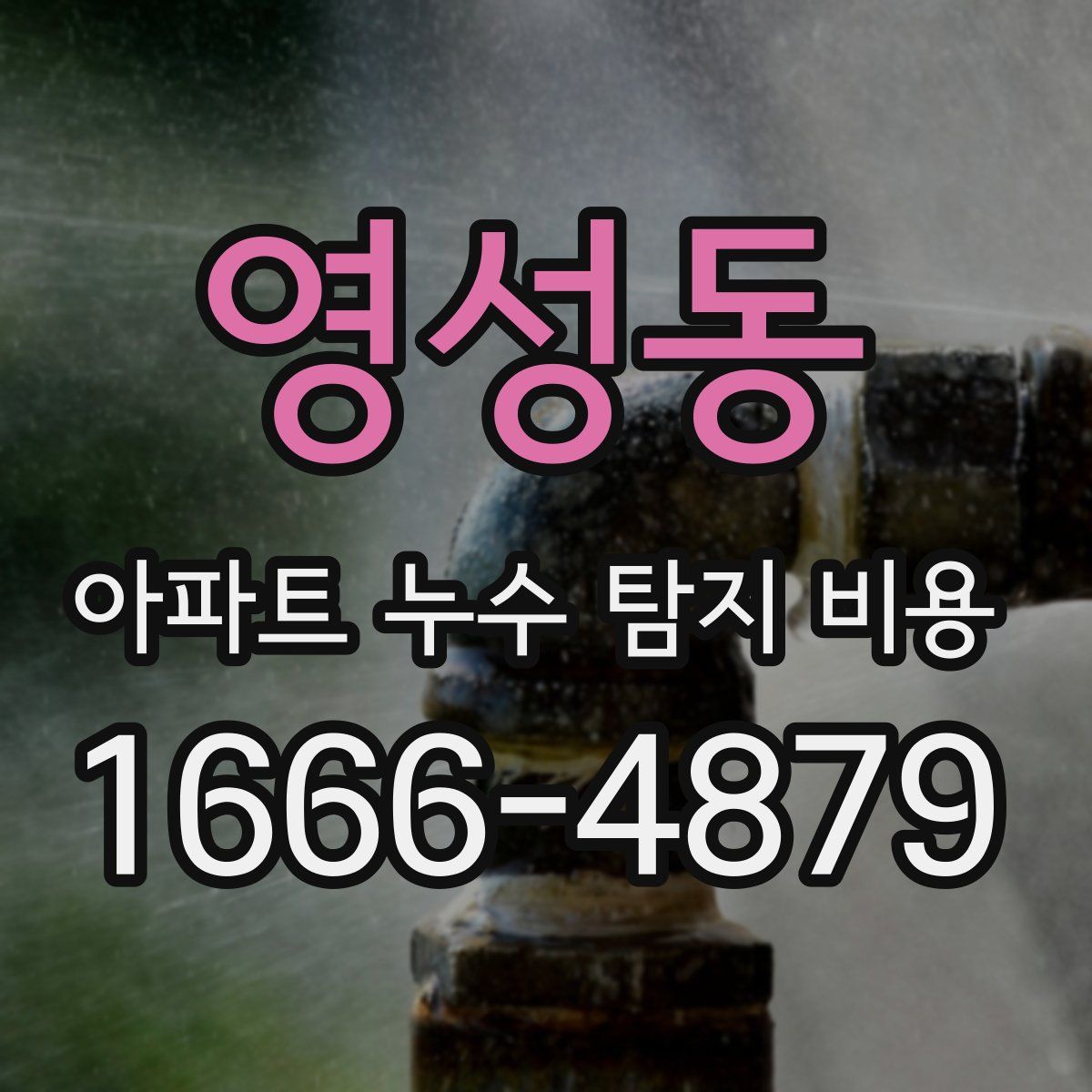 영성동 아파트 누수 탐지 비용