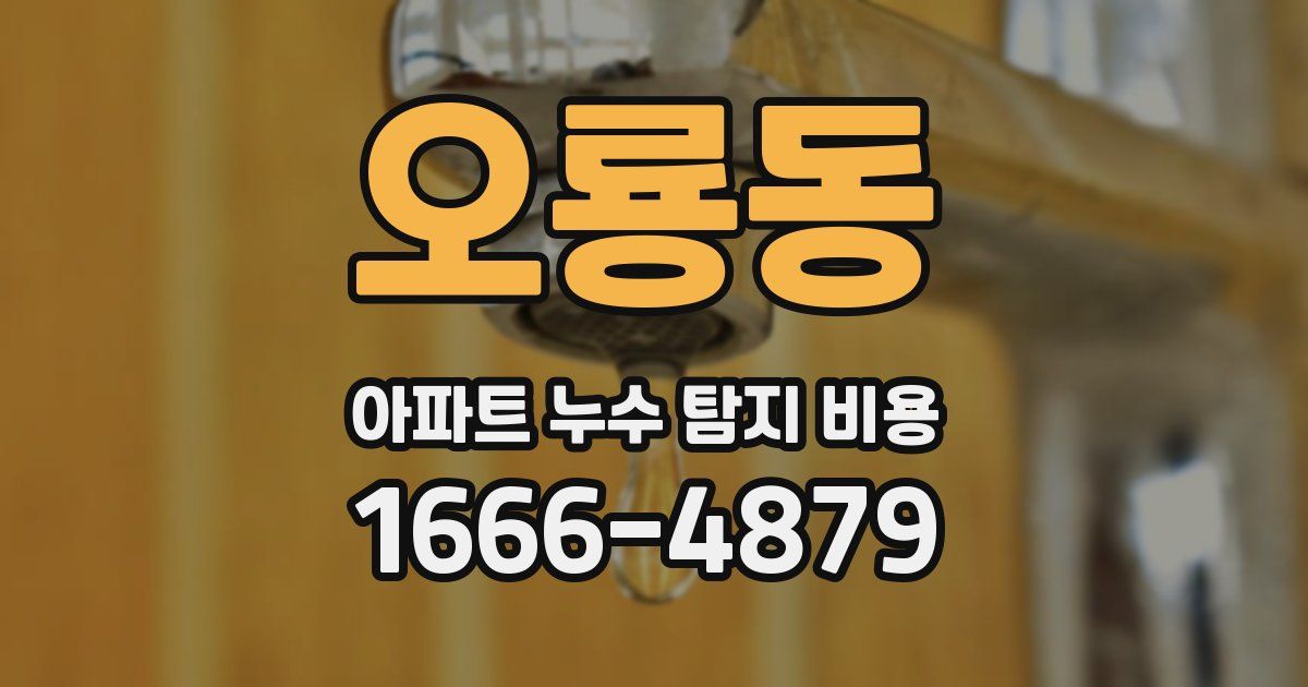 오룡동 아파트 누수 탐지 비용