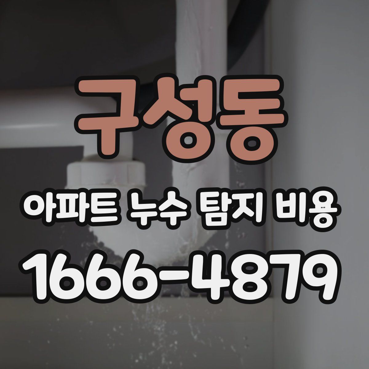 구성동 아파트 누수 탐지 비용